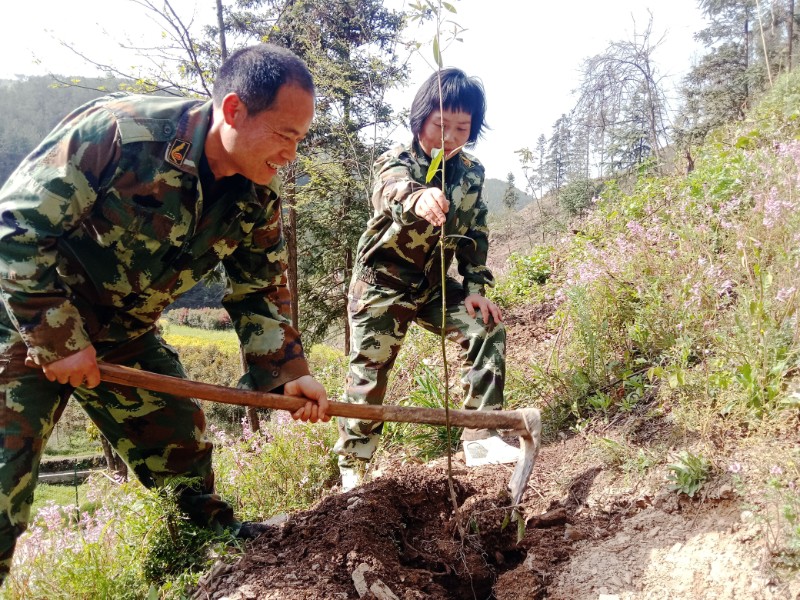 作者秦新與妻子在山坡上種樹