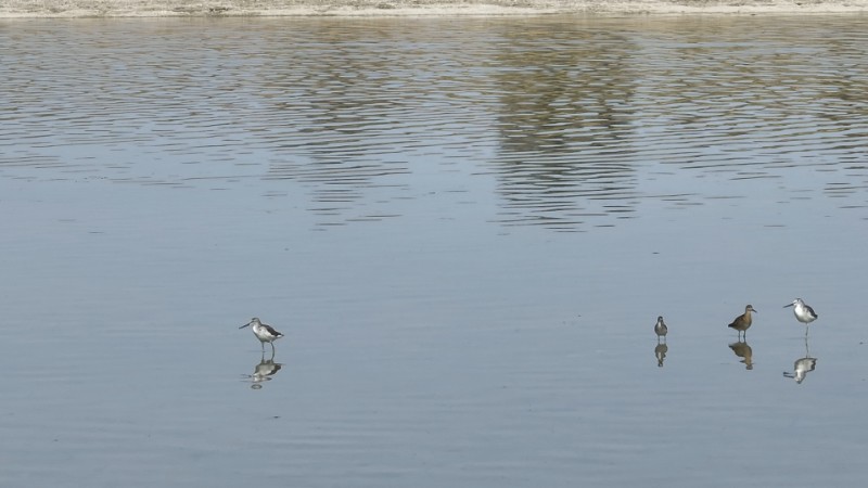 視頻預(yù)覽圖