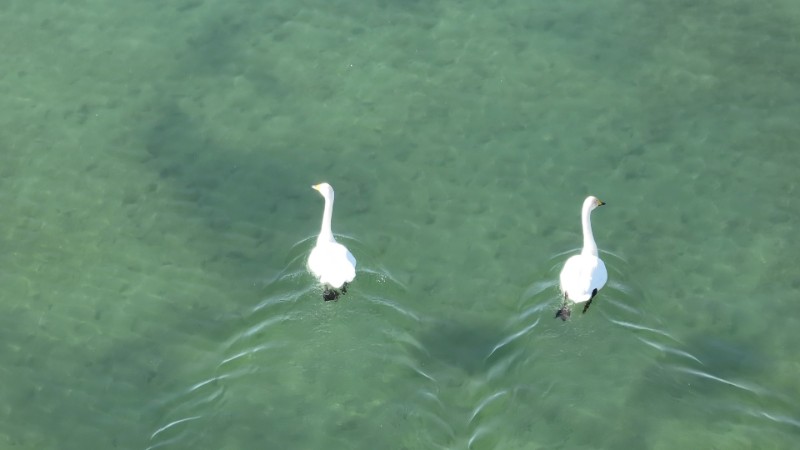 視頻預(yù)覽圖