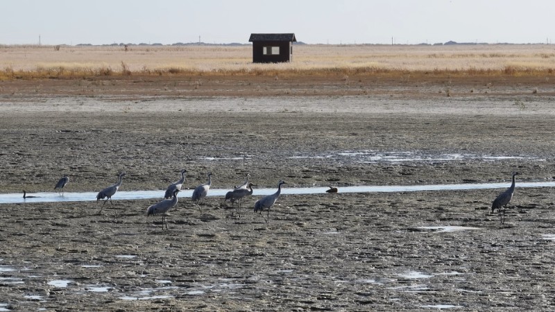 視頻預(yù)覽圖