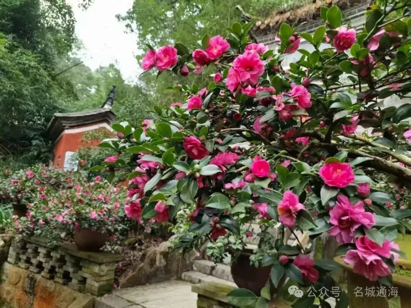 微信圖片_20251010145126_70_288.jpg