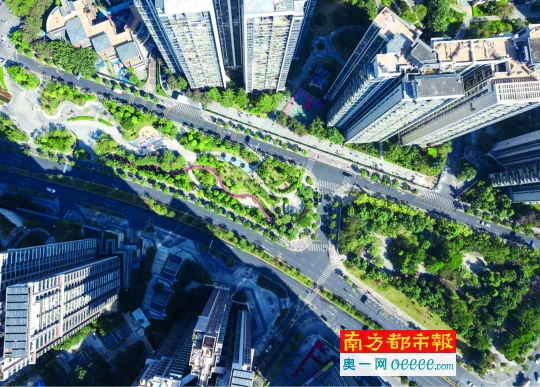 深圳：绿廊三期建设有望年底完工 环城绿道启动段建成25公里 - 关注森林