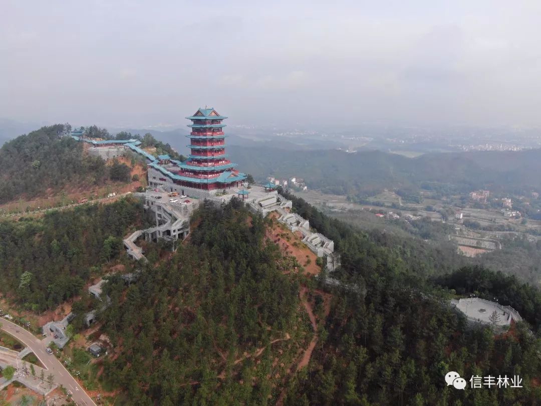 信丰县林业局积极谋划乡土珍贵树种植物园建设