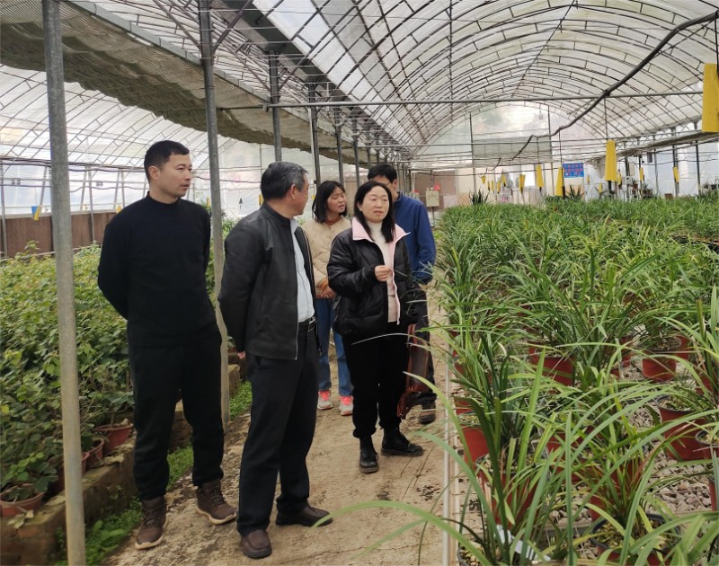 2.2江西省林业科学院专家组到信丰县林木良种场省级示范保障性苗圃指导工作