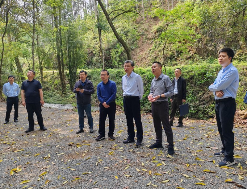 4.12国家林草局生态中心在信丰县开展天然林保护修复调研