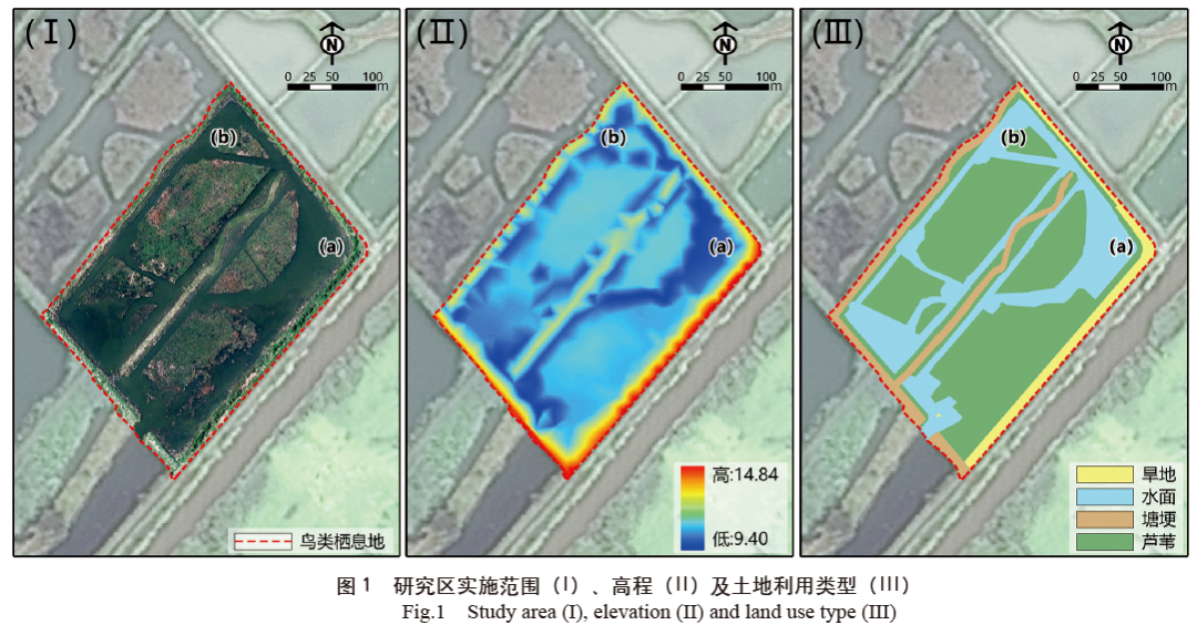 【修复工程】小微湿地鸟类栖息地营造研究:以洪泽湖湿地为例 - 关注森林