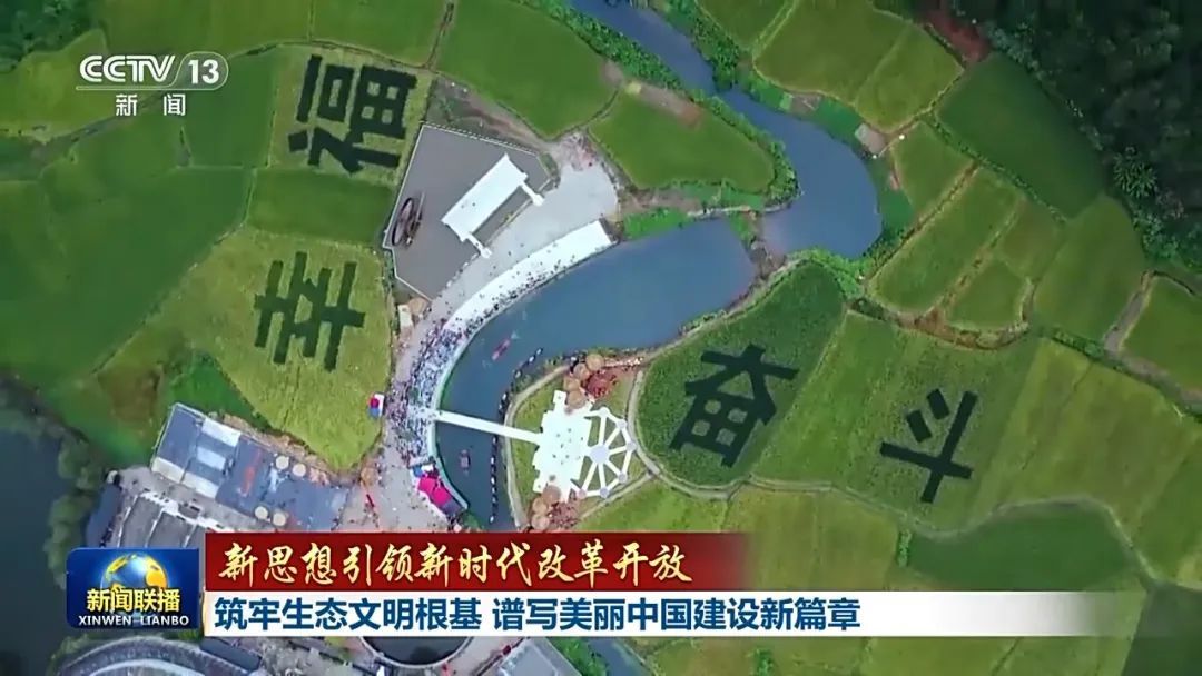 新思想引领新时代改革开放丨筑牢生态文明根基 谱写美丽中国建设新篇章 - 关注森林