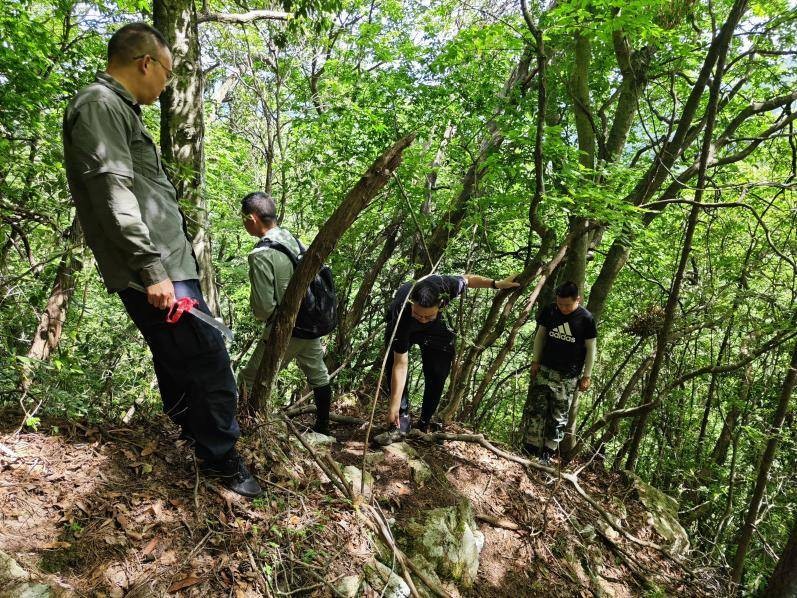 深山寻“宝”——湖北大老岭国家级自然保护区古树名木普查一线纪实.docx