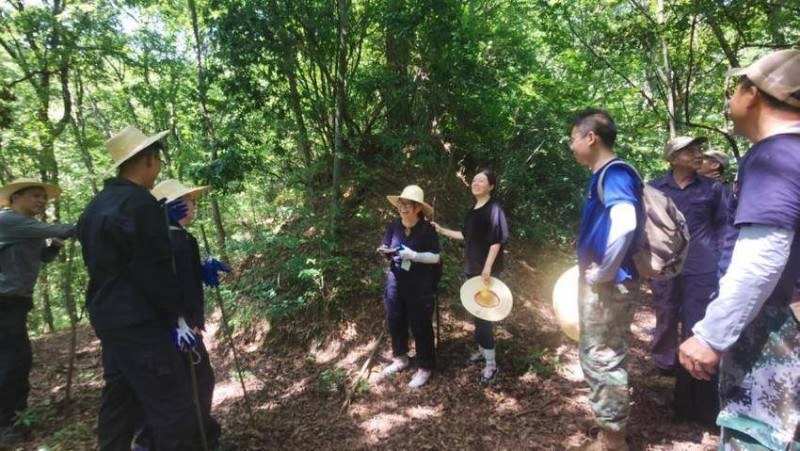 深山寻“宝”——湖北大老岭国家级自然保护区古树名木普查一线纪实.docx