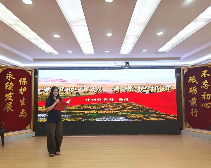 杨琳照片.jpg