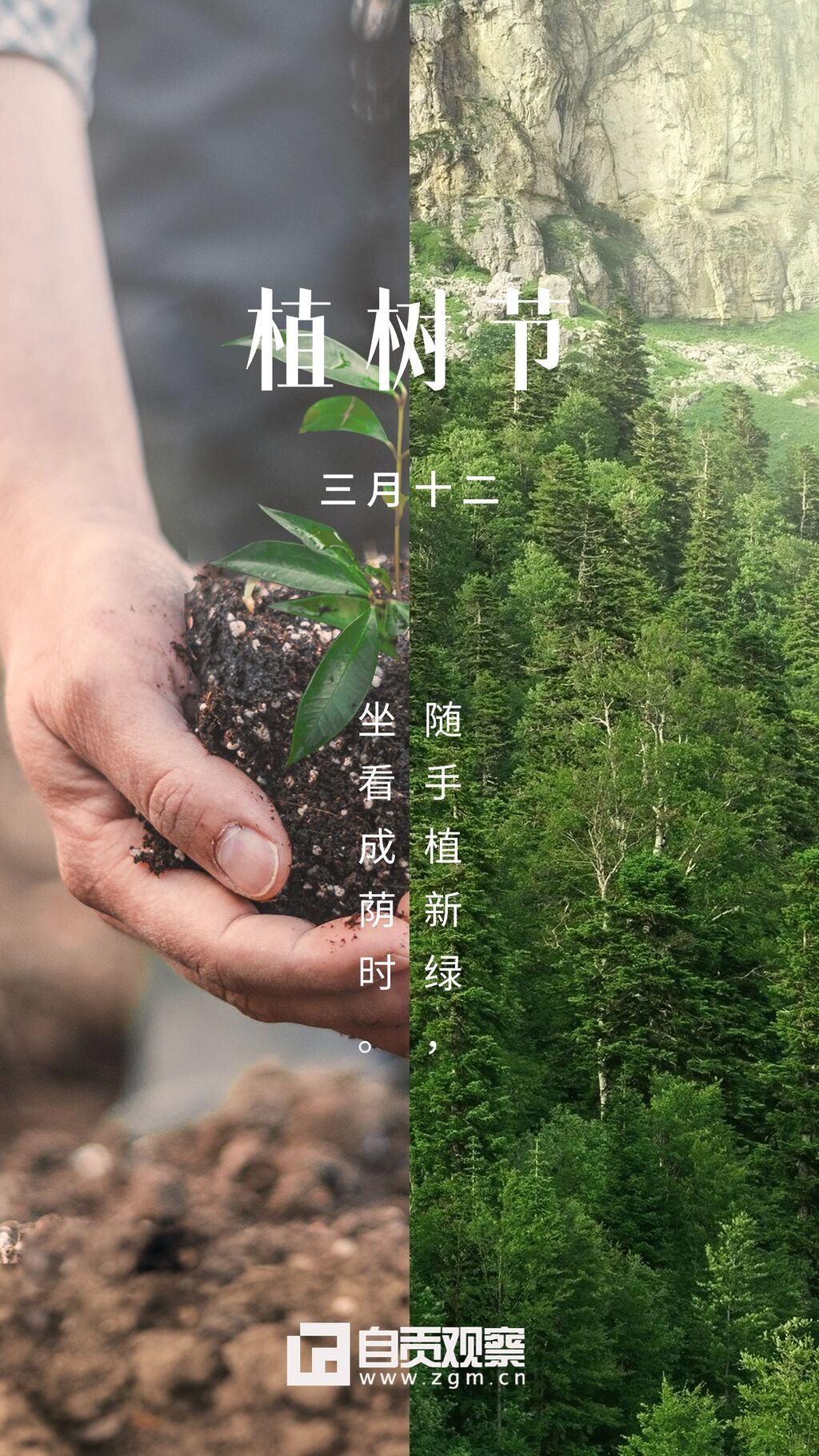 植树节节日祝福手机海报 (2).jpg