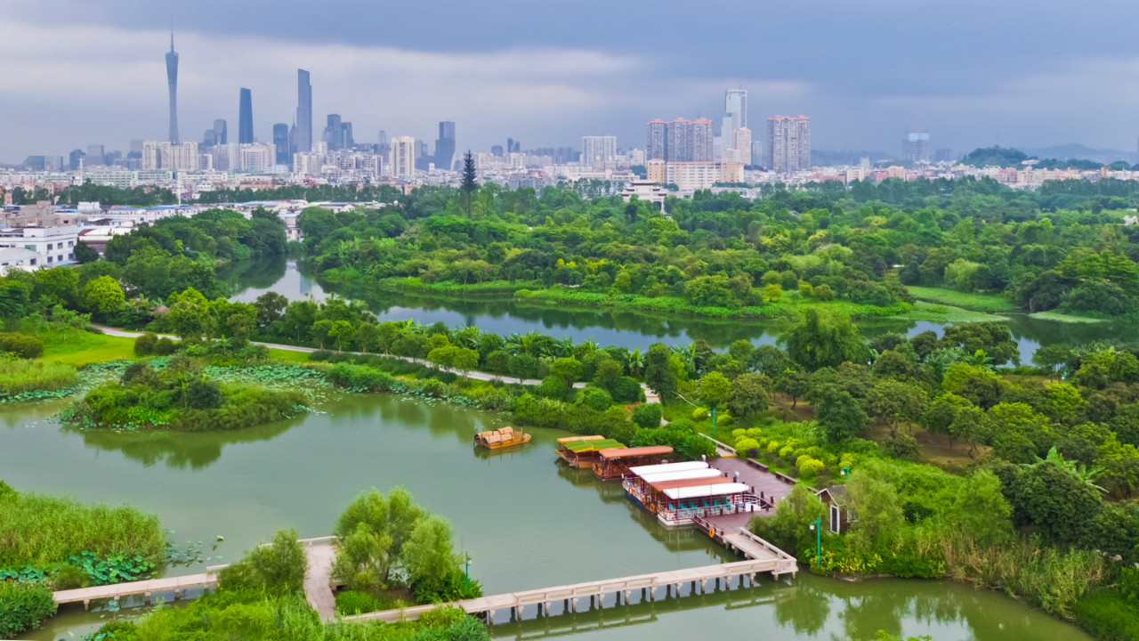 海珠湿地航拍古荫帆影