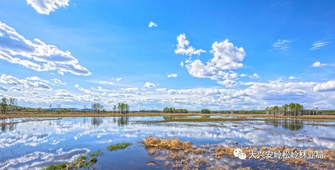 葱茏初夏砍都河湿地公园美如画