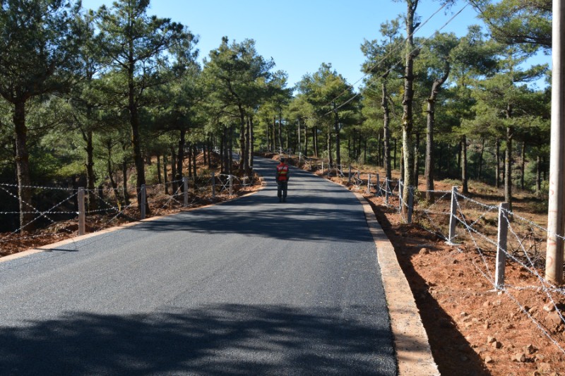 新修建的林区公路