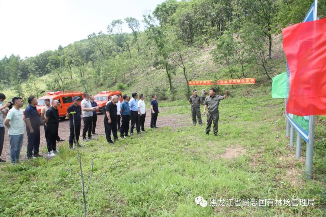黑龙江尚志国有林场管理局实地考察林下经济产业及防火阻隔带建设工作