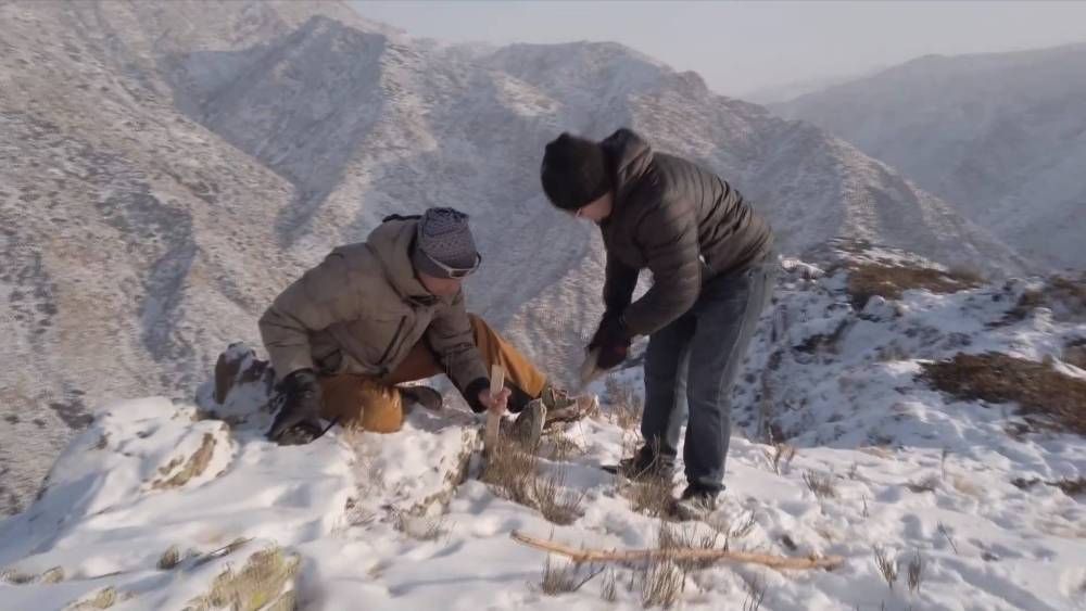 新疆阿勒泰市首次拍摄到雪豹踪迹