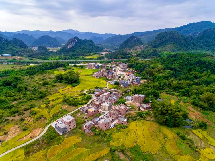 阳江家在阳春河朗镇柚柑村