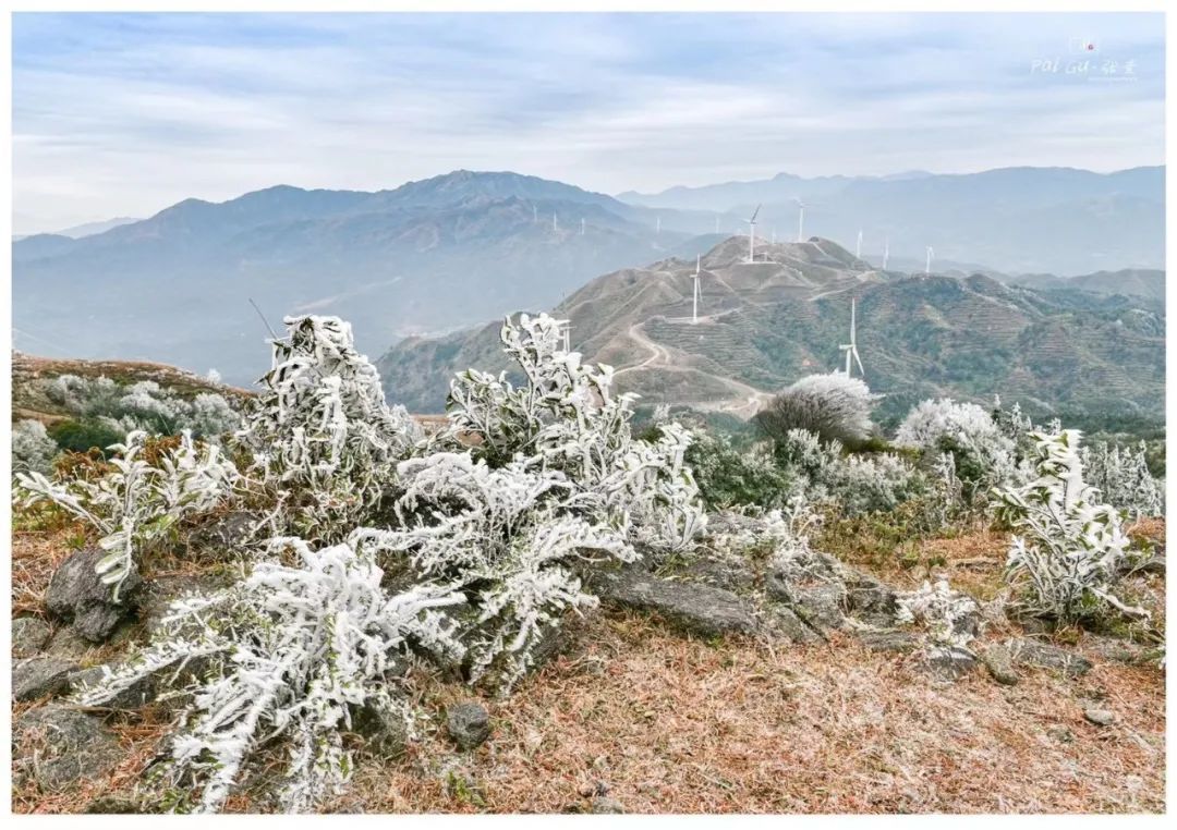 阳江超美阳春三甲镇风车山顶的冰挂美景