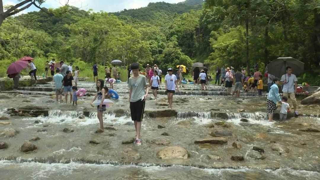 雨林河位于阳东区大八镇龙心村,河水清彻见底,这里空气清新,景色醉人.