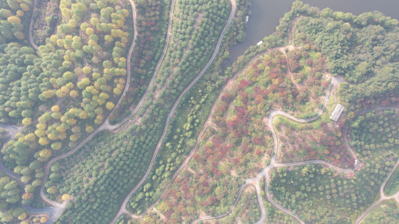 DJI_0255[00_01_17][20230904-171358]