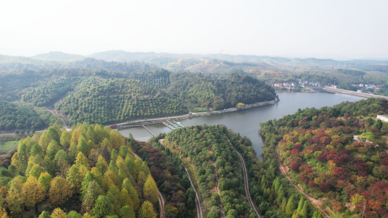 DJI_0254[00_00_39][20230904-171243]