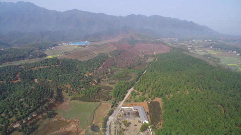 DJI_0053