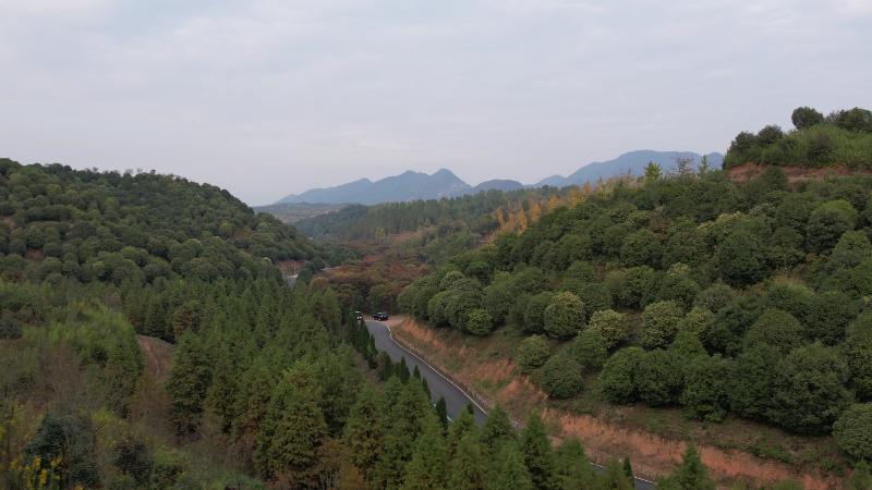 DJI_0278[00_00_13][20230904-172035]