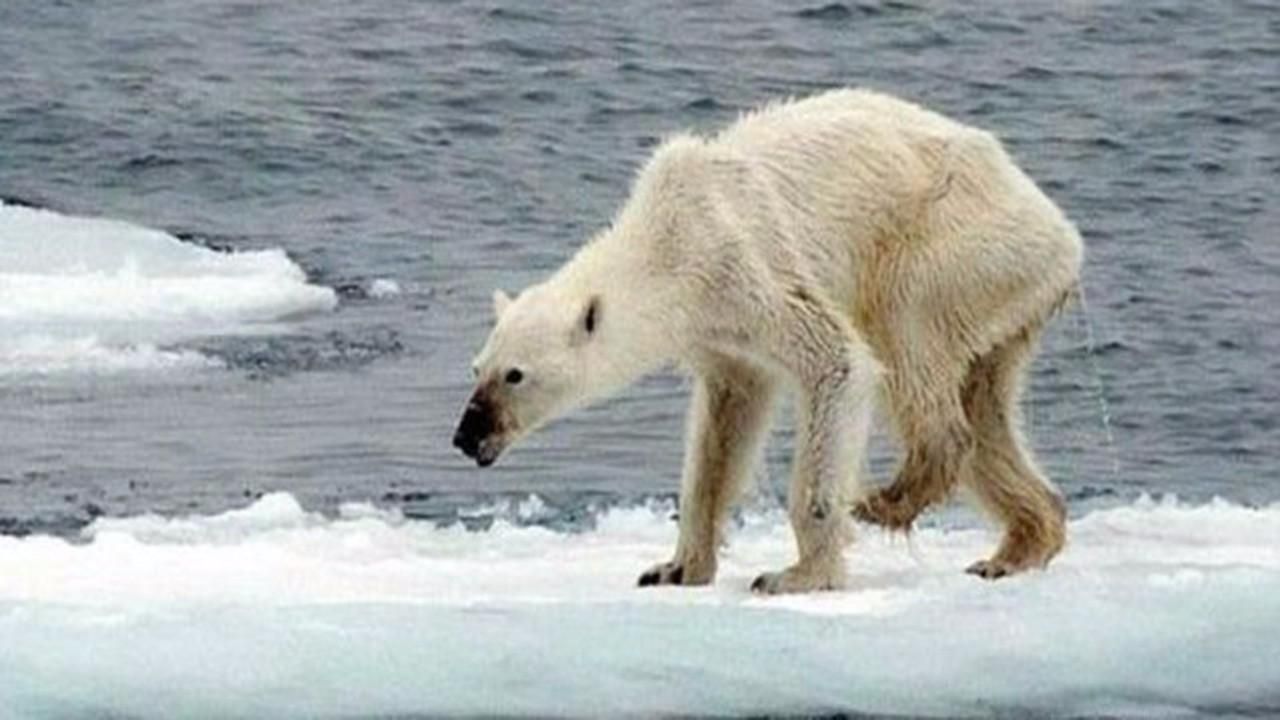 冻土内万年生物被“复活”，5年前疫情迷案告破，地球是怎么了？