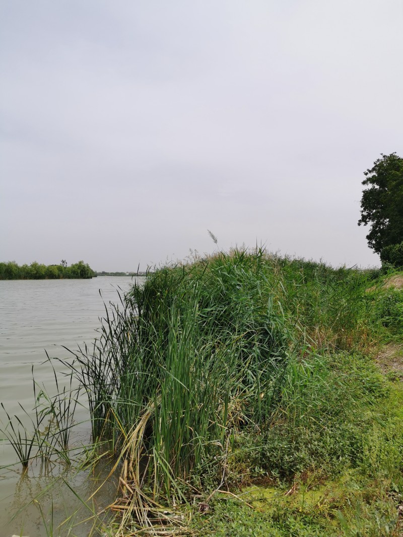 IMG_20210525_145322