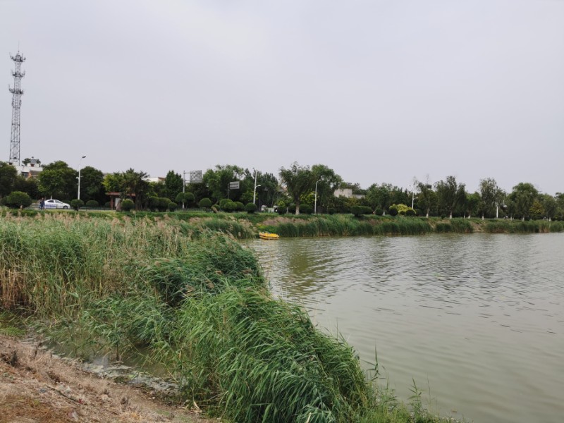 IMG_20210525_145607