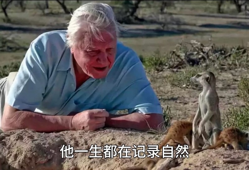 视频预览图
