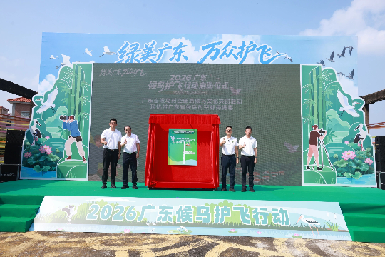 已编辑图片