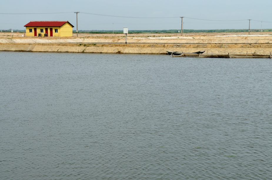 05_DSC_1307