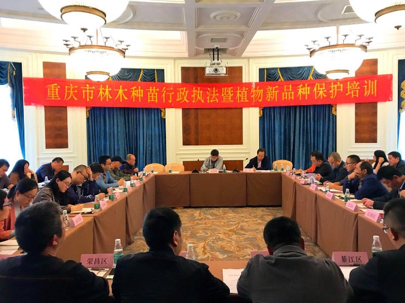 微信图片_20181011165822