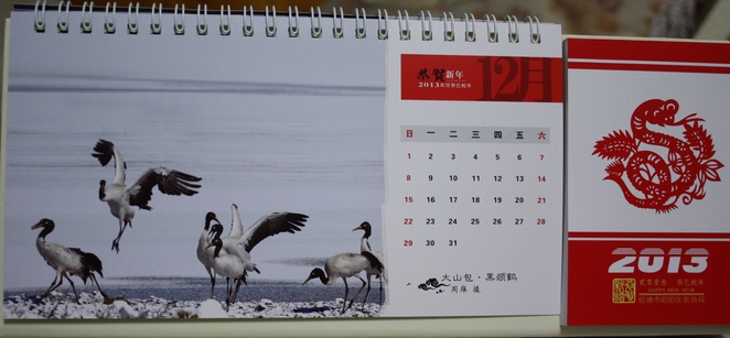 台历12月画面-大山包保护区黑颈鹤