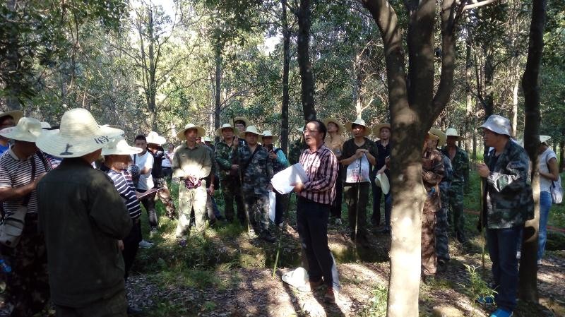 图8：郑仁化博士指导开展林木种质资源外业调查