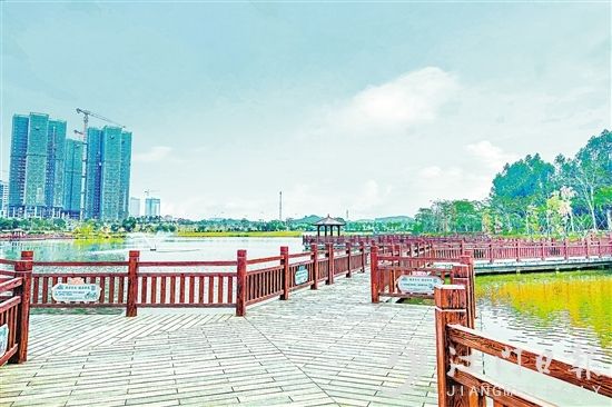昔日猪屎塘成了水清岸绿的湿地公园河湖长制治出生态高颜值