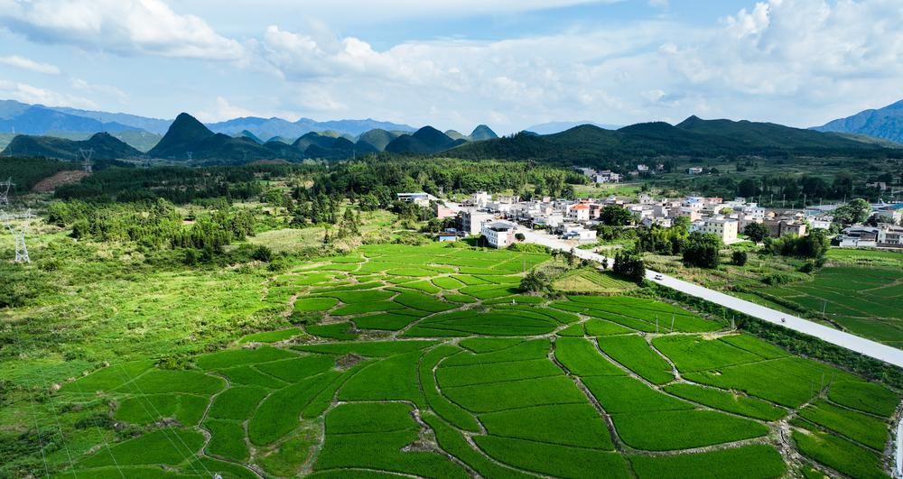 韶关乳源大桥镇：石漠荒山植青绿，不辞鬓发染霜尘