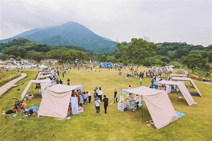 梧桐山公园入选自然教育绿色营地 - 关注森林