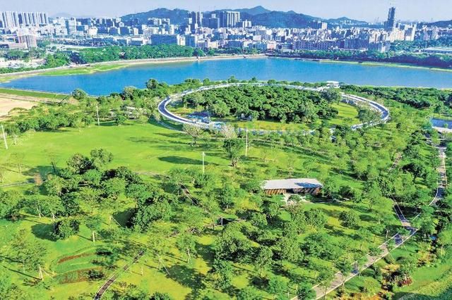人民日报：深圳让市民共享绿色空间 - 关注森林