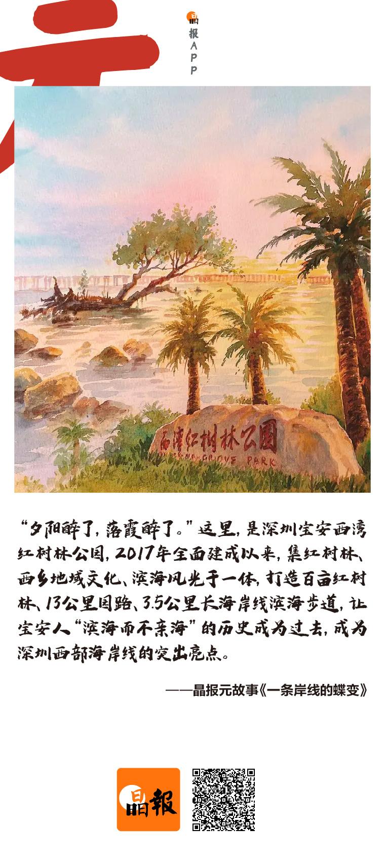 不用去大小梅沙、深圳湾看海,宝安这一条岸线“亮”了|元故事海报 - 关注森林