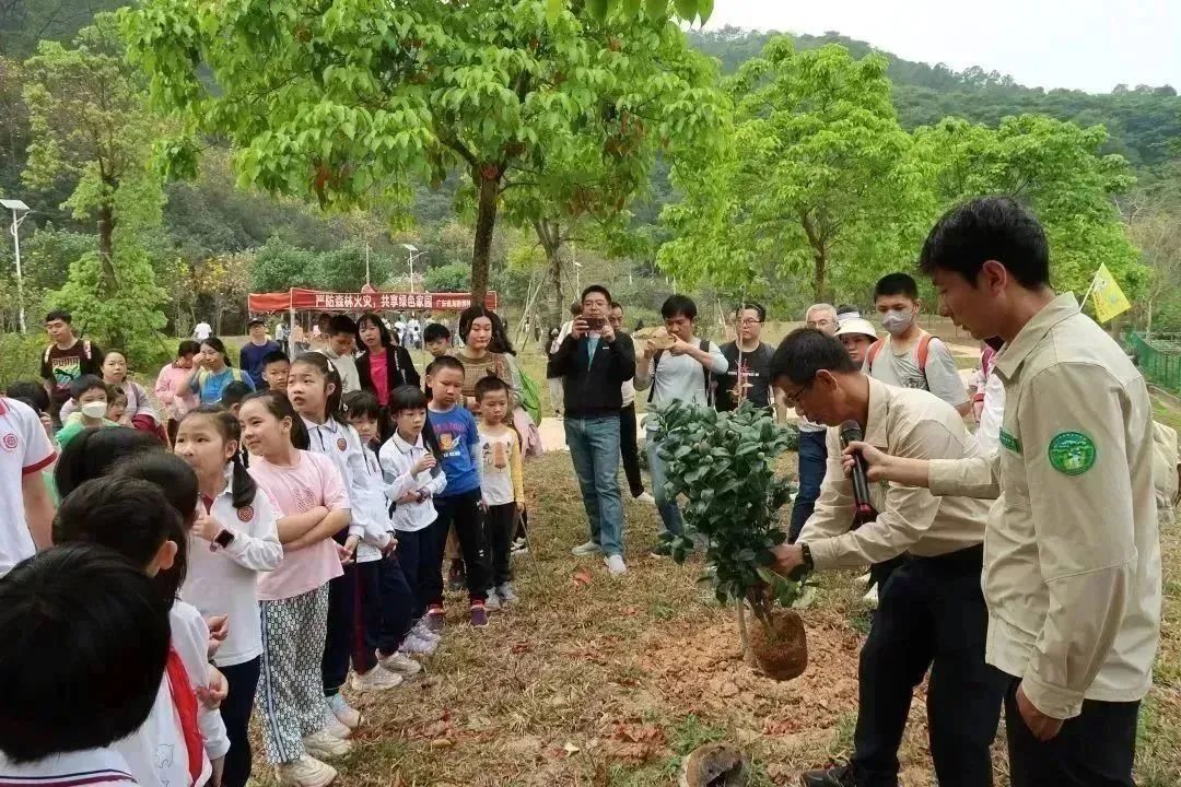 你亲近自然了吗?省龙眼洞林场积极开展多元化自然教育活动 - 关注森林