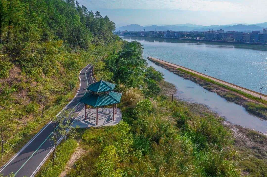 绿美恩平丨锦江河碧道 - 关注森林