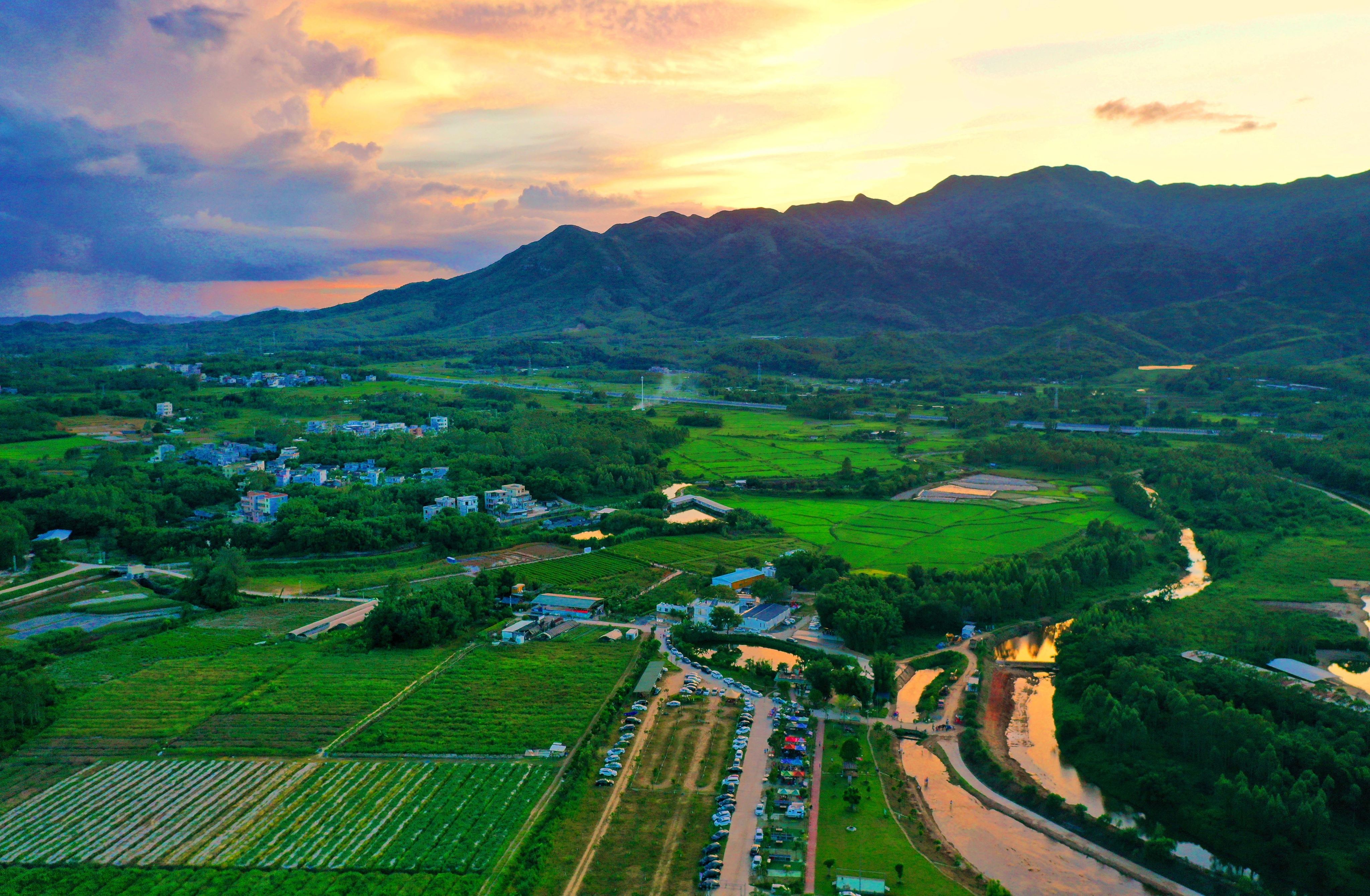 Rice校外 公寓 一亩三分地 - w3nf1by