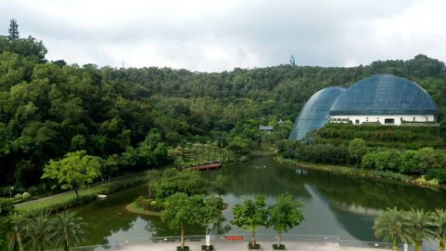 惠州植物园。记者 哈鹏摄