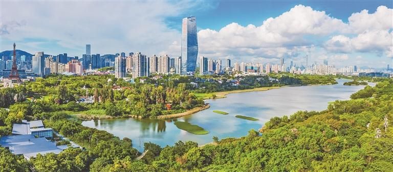 深圳先行示范打造可持续发展先锋 - 关注森林