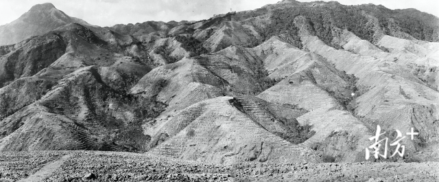 20 世纪70 年代初，岳山林场因过度砍伐生态破坏严重，自然灾害频发。资料图片