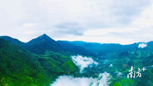 如今，三岳省级自然保护区（前身为岳山林场）总面积达10.84 万亩，成为肇庆生态文明建设的样板。梁恒志 摄