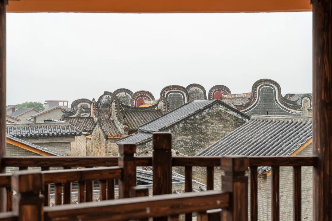 肇庆这个地方种下千棵树,收获和美乡村! - 关注森林
