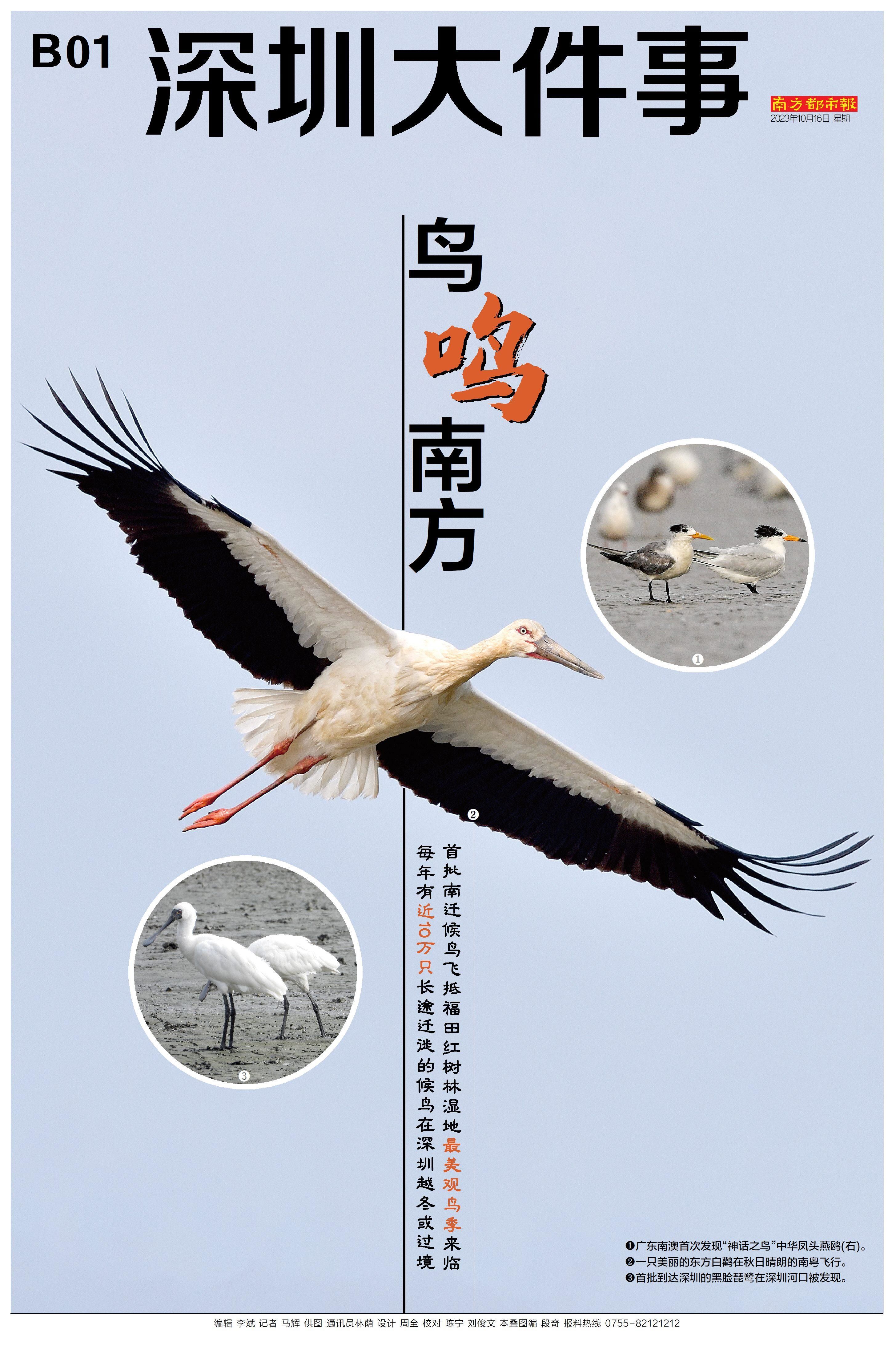 封面报道：首批南迁候鸟抵粤 - 关注森林